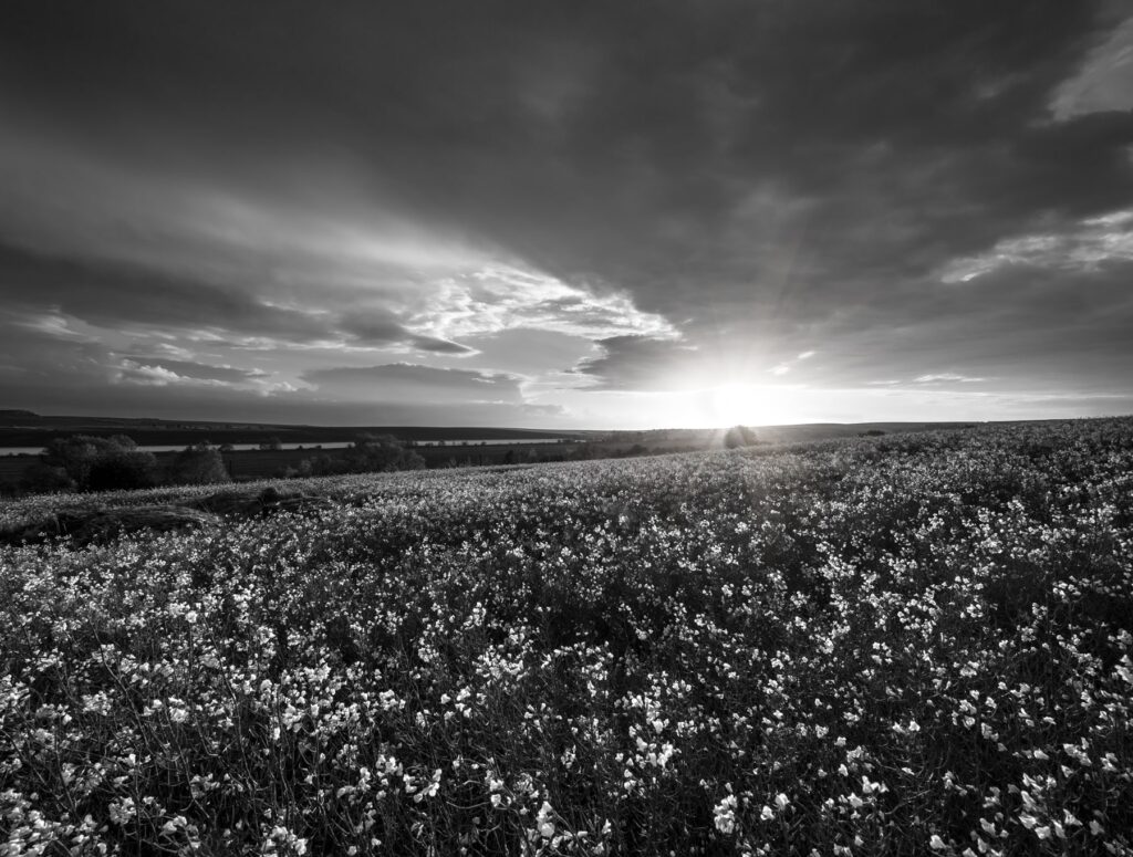 Trauerredner Verdienst in der Schweiz